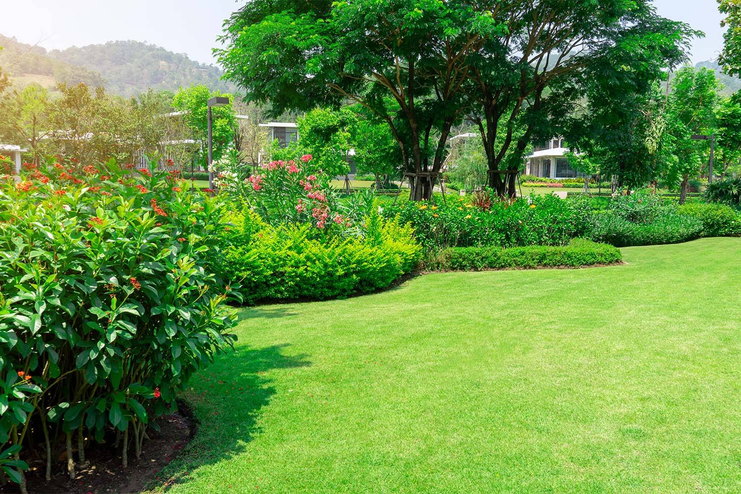 Read more about the article Lawn Care Maintenance Tips