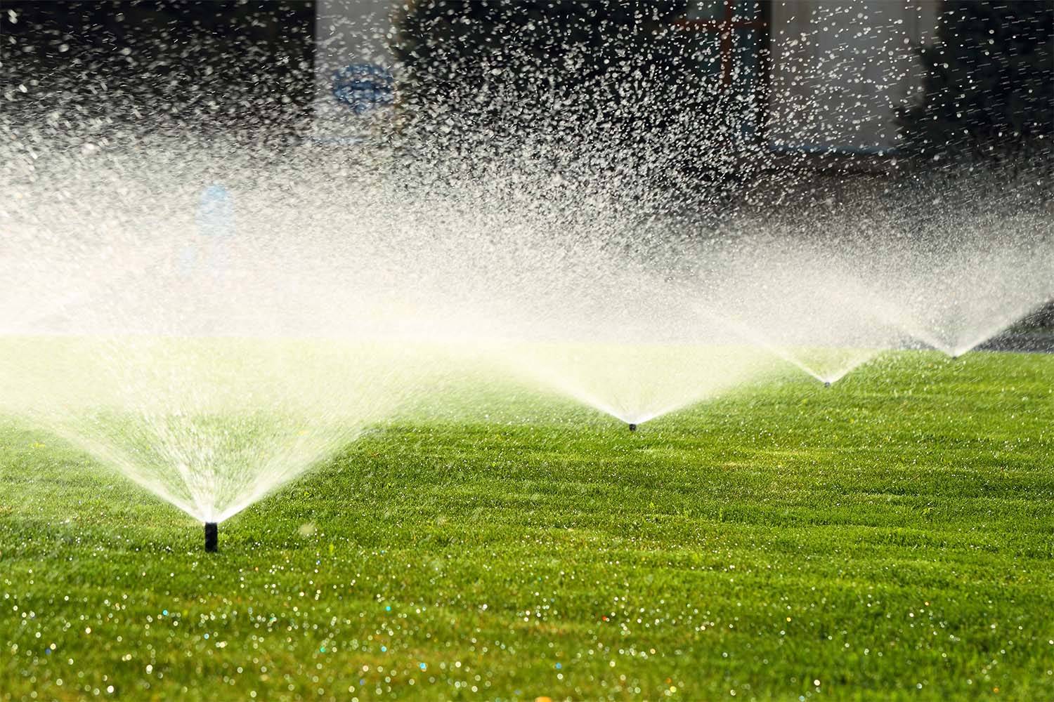 Read more about the article Mower and Sprinkler System Choices