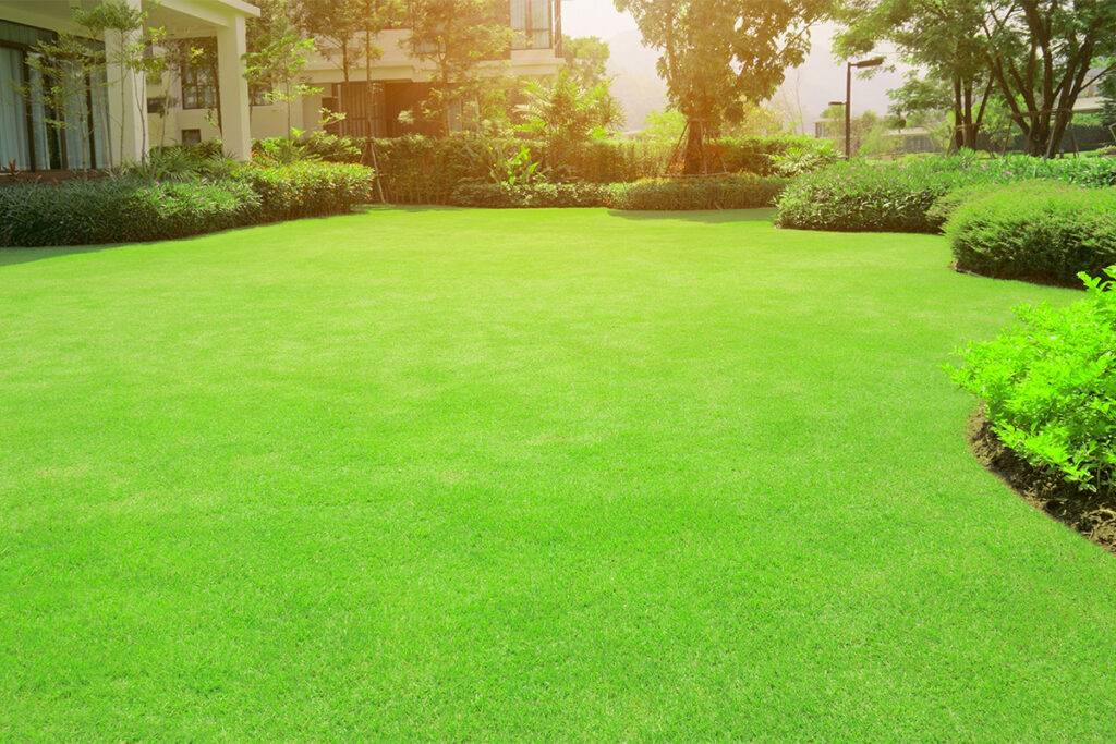 Beautiful manicured lawn