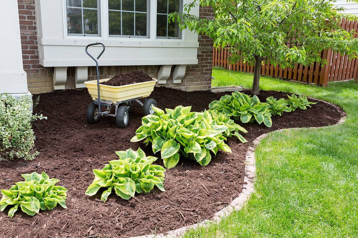 Read more about the article Rubber vs. Wood Mulch: Which Is the Right Choice for Your Landscape?