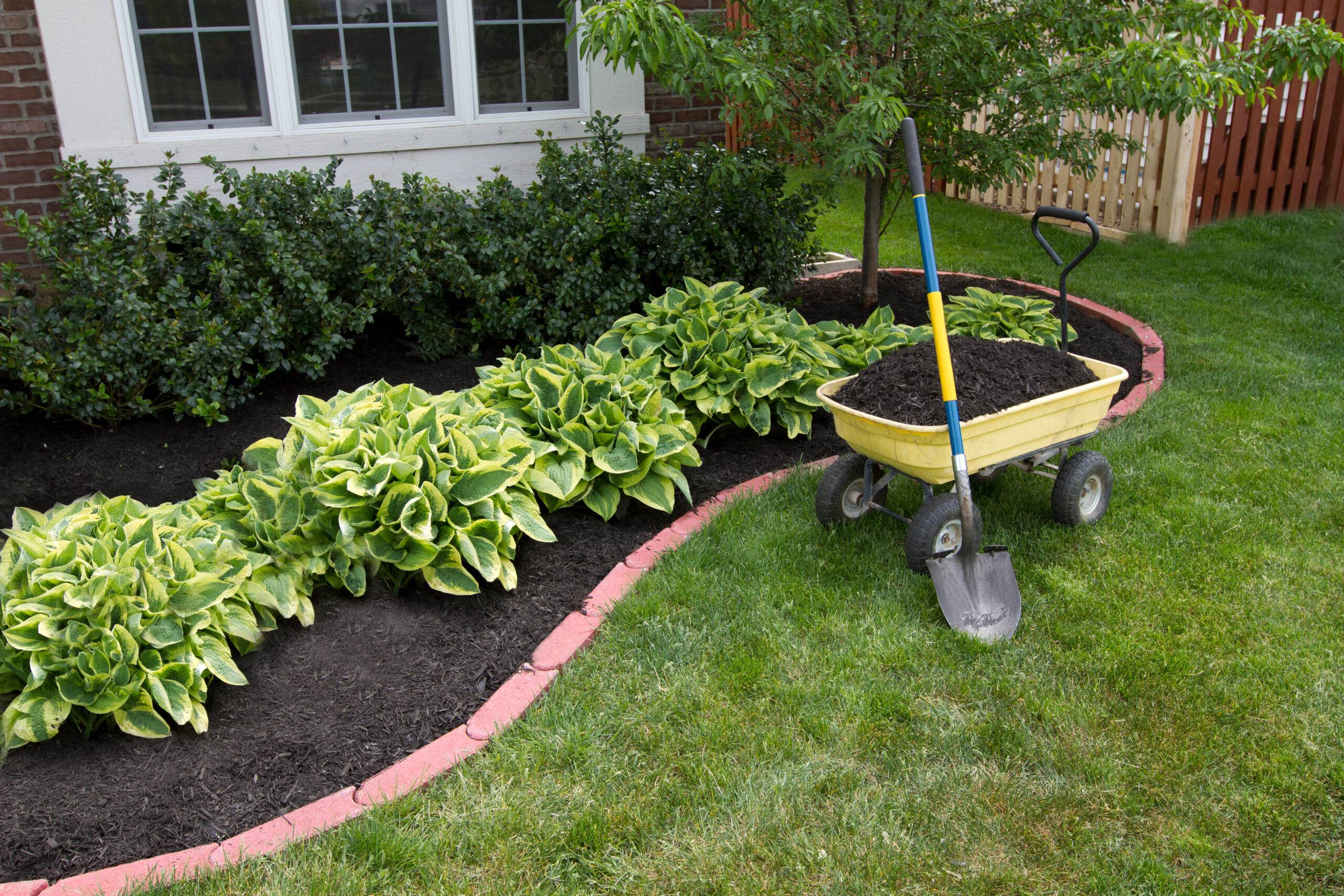 Read more about the article Preparing Garden Beds for Winter in Northeastern PA