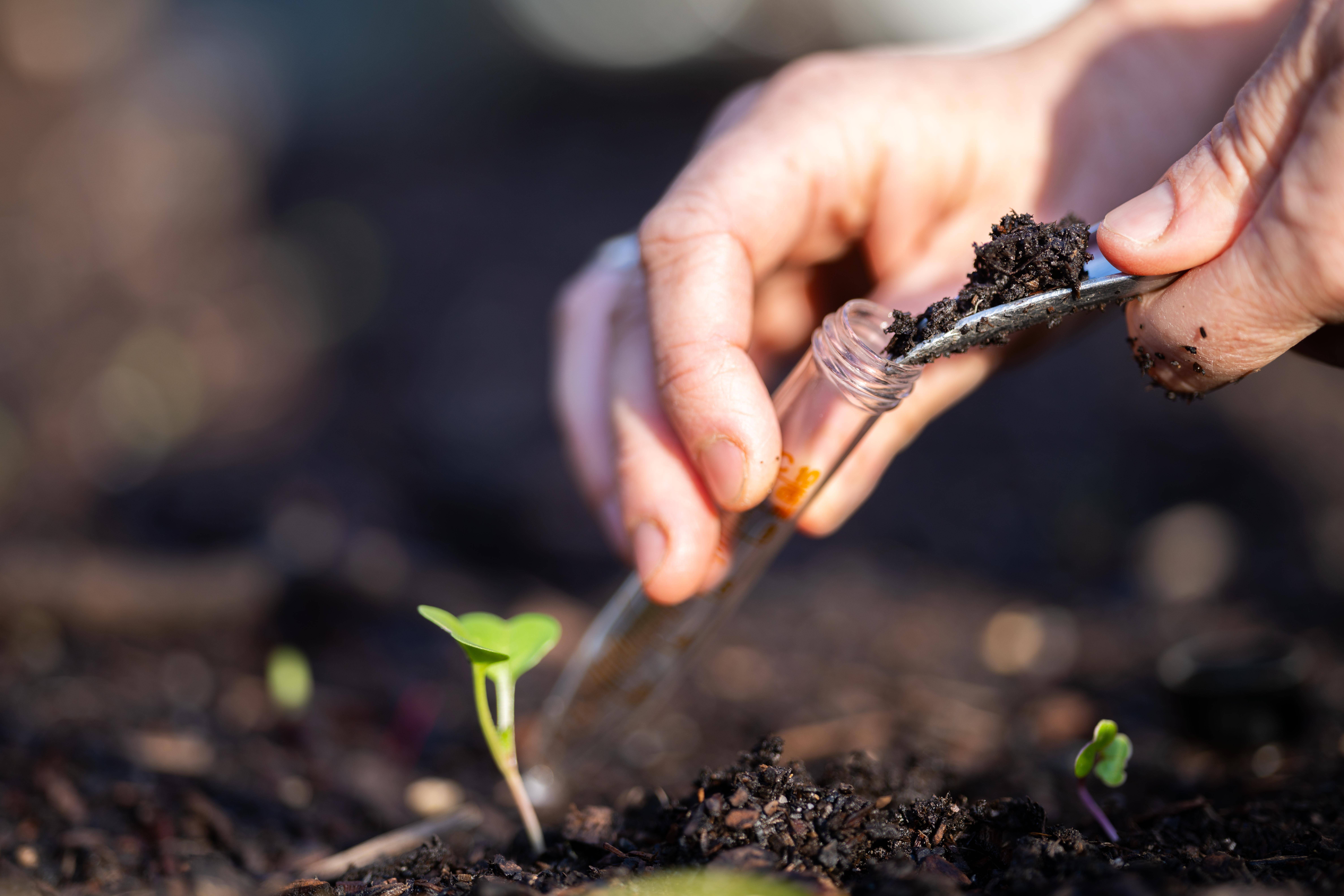 Read more about the article Soil Testing and Amendment Guide for Spring