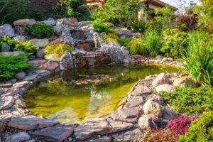Are Water Features Good to Have on My Property