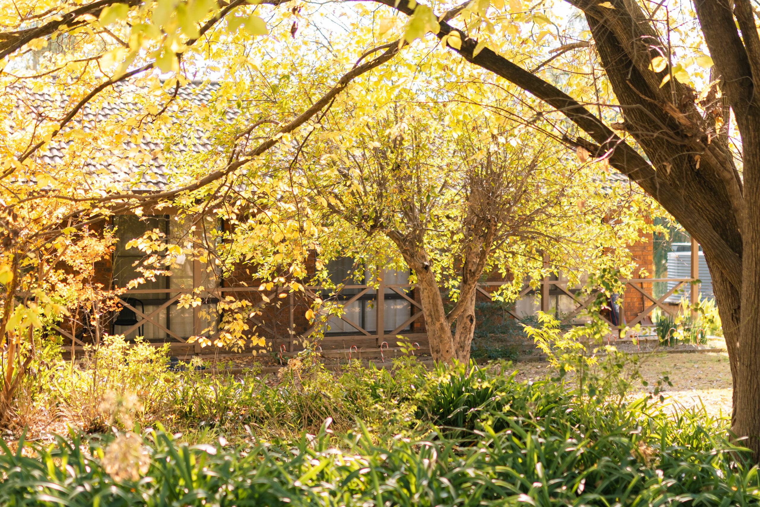 Read more about the article Fall Landscapes That Enhance the Beauty of Your Yard