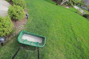 Great Time to Fertilize