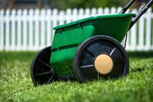 Taking Care of Your Lawn During Winter