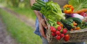 Biog 3.7 Which Vegetables Grow Best in Northeastern PA