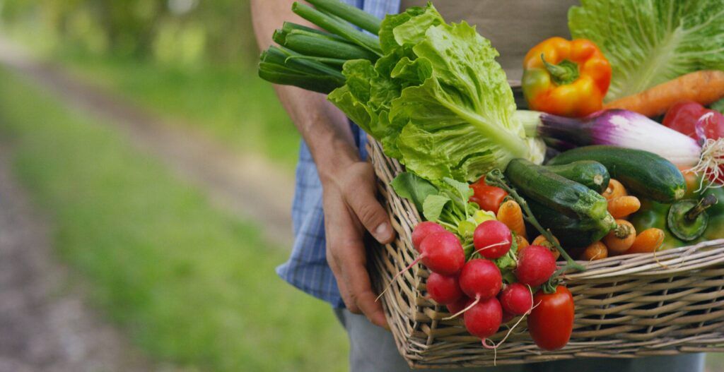 Biog 3.7 Which Vegetables Grow Best in Northeastern PA