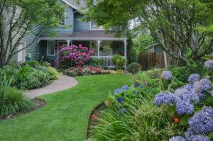 New Landscaping Trends in Our Area