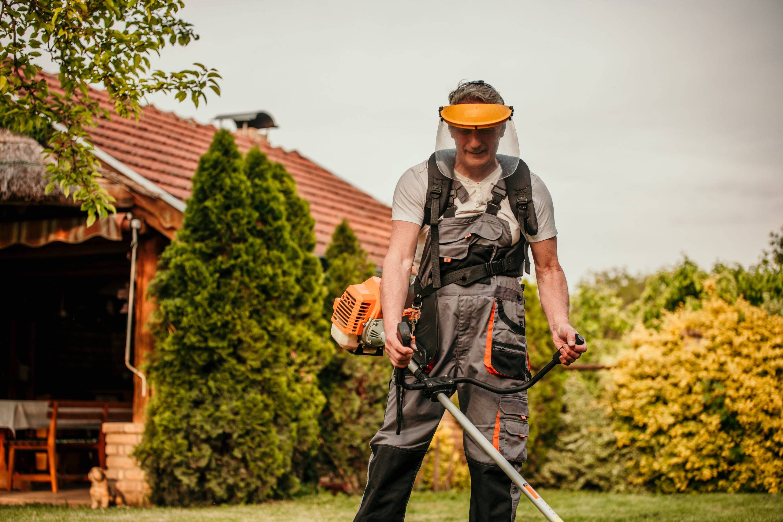 Read more about the article Lawn Work Safety Practices